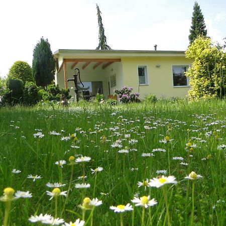 Sommerhaus Im Gruenen Берлин Экстерьер фото